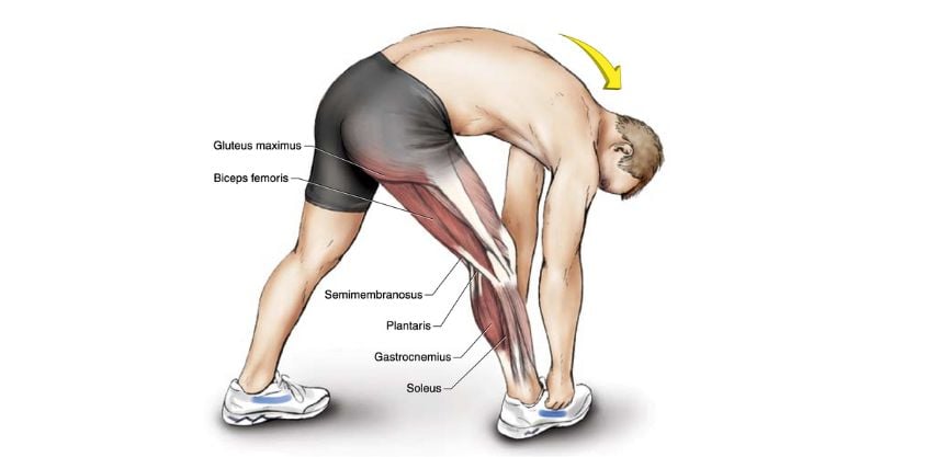 5 allungamenti per muscoli posteriori della coscia e flessori dell'anca stretti