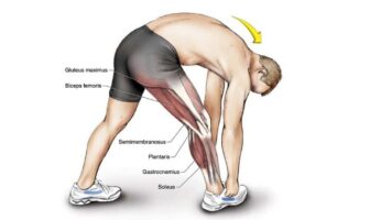 Best hamstring stretches