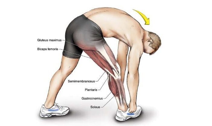 Best hamstring stretches